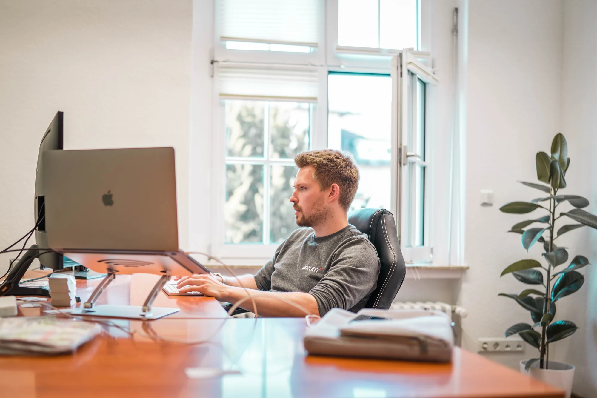 Konzentrierte Arbeit am Bildschirm im Büro von sorum